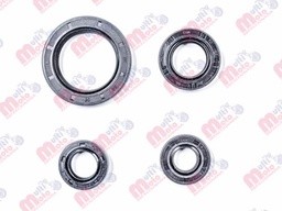 -5022 SET RETENES MOTOR IT FT180/RT180/FT200/TC200